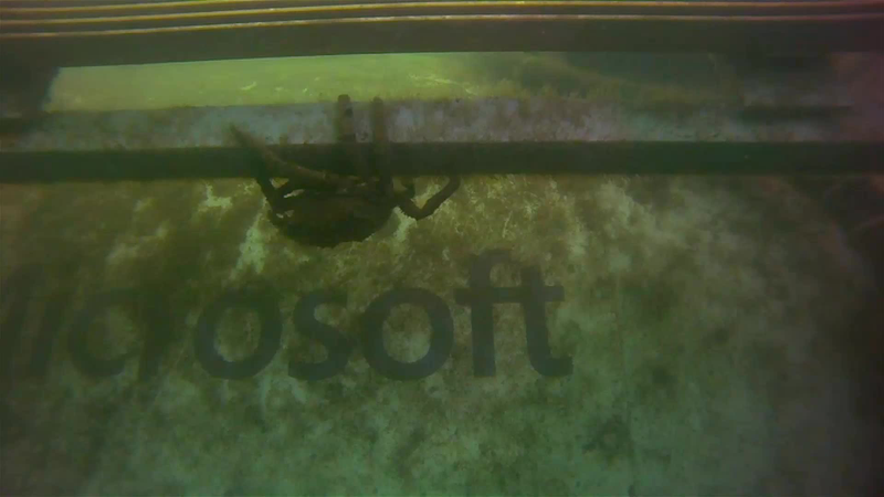 And here’s a crab chilling with the Project Natick data center from Phase 1 in 2015.